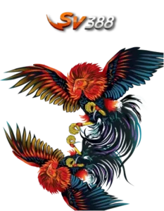 SV388 iSport365 hiburan cockfight digital